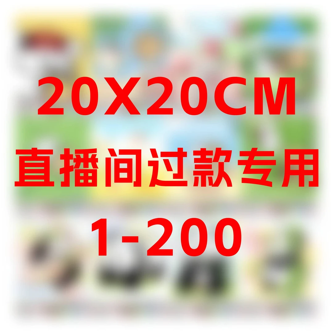 20X20CM【1-200直播间过款专用连接】数字油画