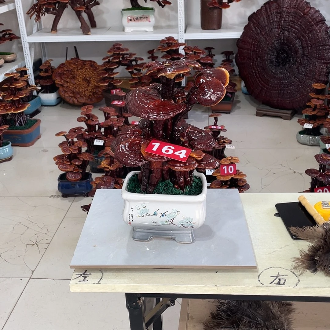 无花朵888888888885