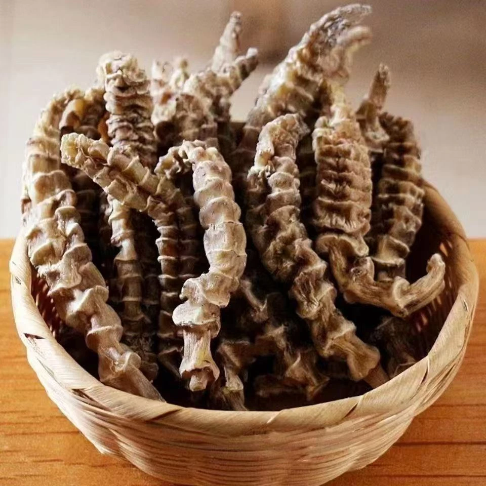 【虫草参】 野生 虫草参 正宗云南深山山货