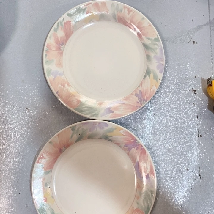 瓷片一厂盘子两个