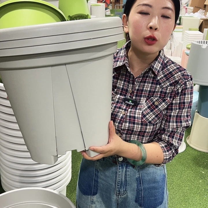 青山口40高34灰白3只无托