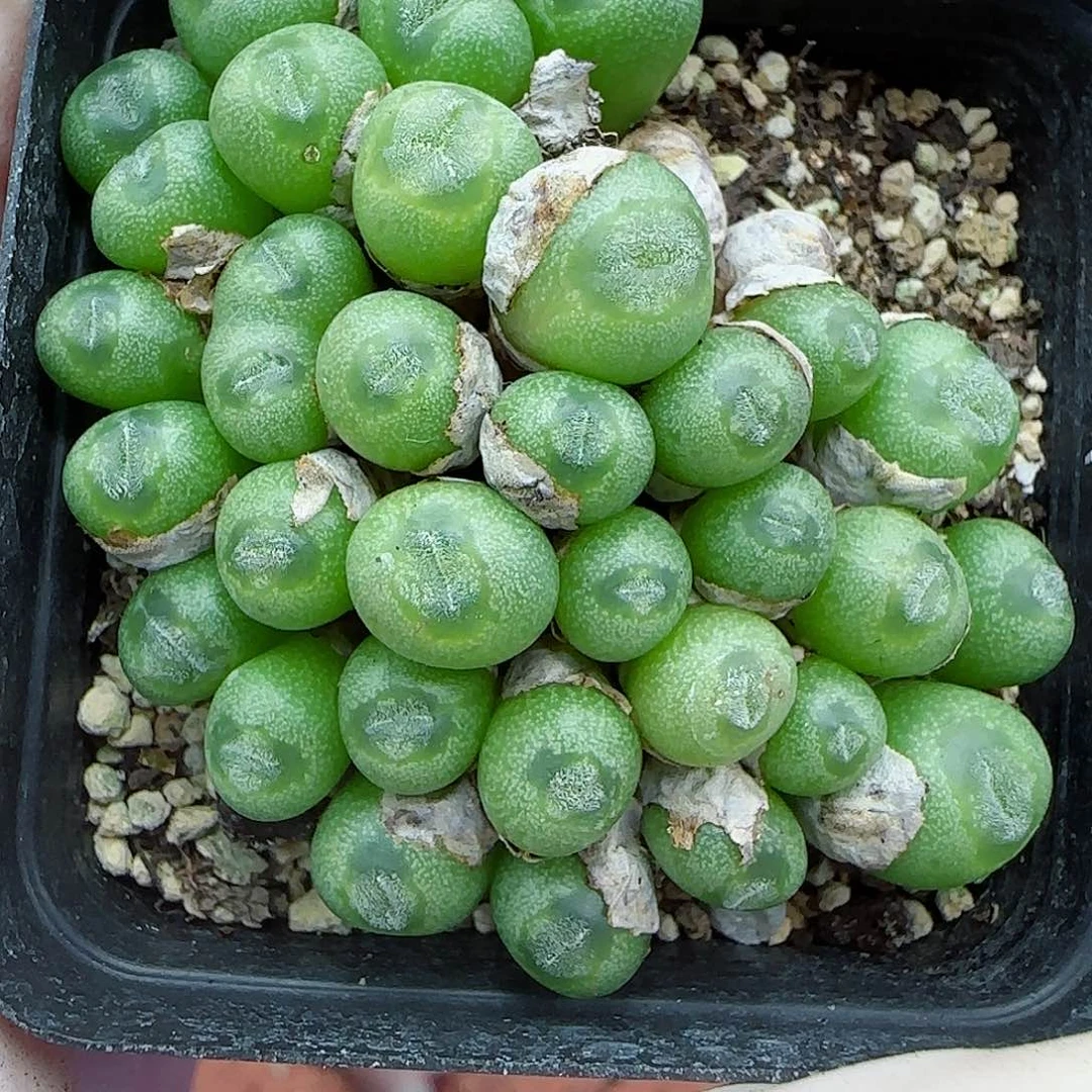 014福利福利福利