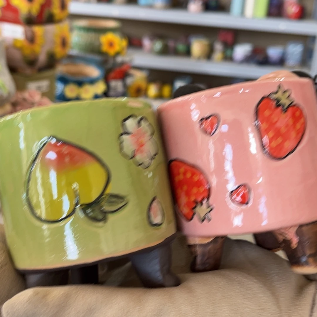 【闪购商品】红陶福利