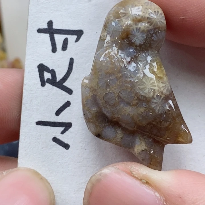 颈饰未镶嵌硅化珊瑚（珊瑚玉）