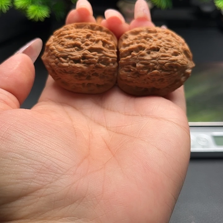 灿***.核桃37红莲全品核桃