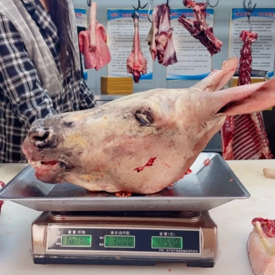 【闪购商品】冷冻保存30天包装河北省