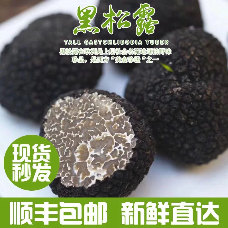 【云南贡山新鲜松露】采摘现发 新鲜刺身 煲汤菌宴食材