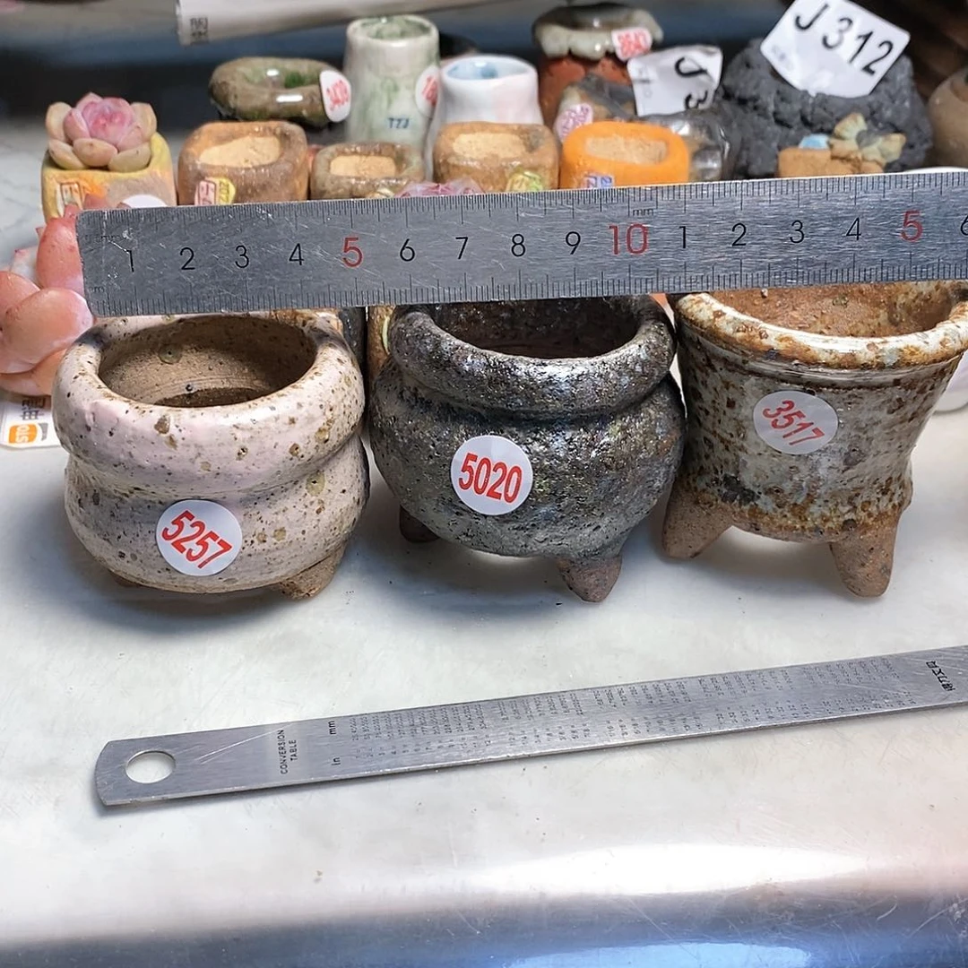 红陶黑***妮拍5送一个小