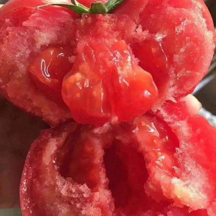 正宗水果西红柿沙瓤带籽新鲜采摘