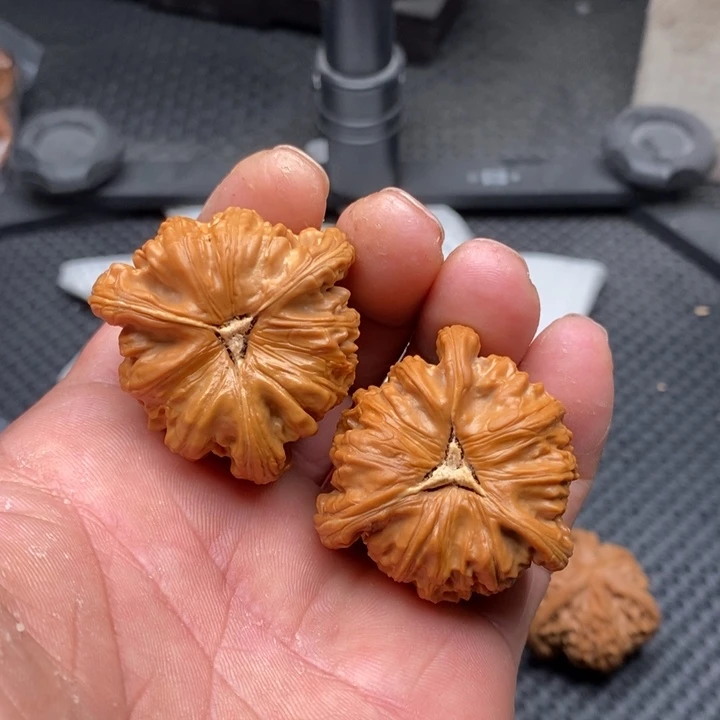 核桃把件清*拼接白狮子1