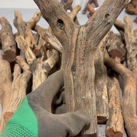 大果紫檀（缅甸花梨）巷****狗