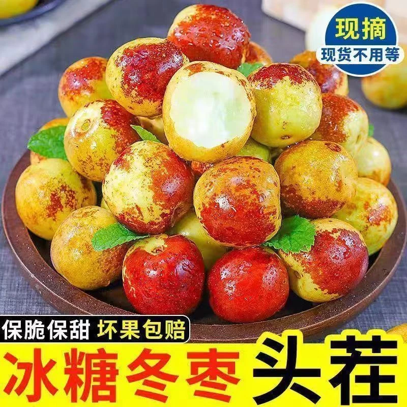 山东沾化正宗冰糖冬枣现摘新鲜应季水果