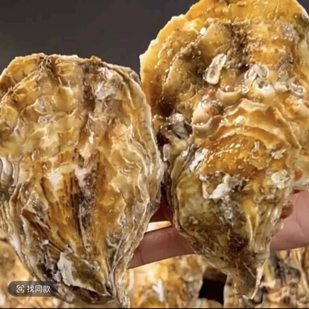 田横本地薄皮海蛎子生蚝10斤