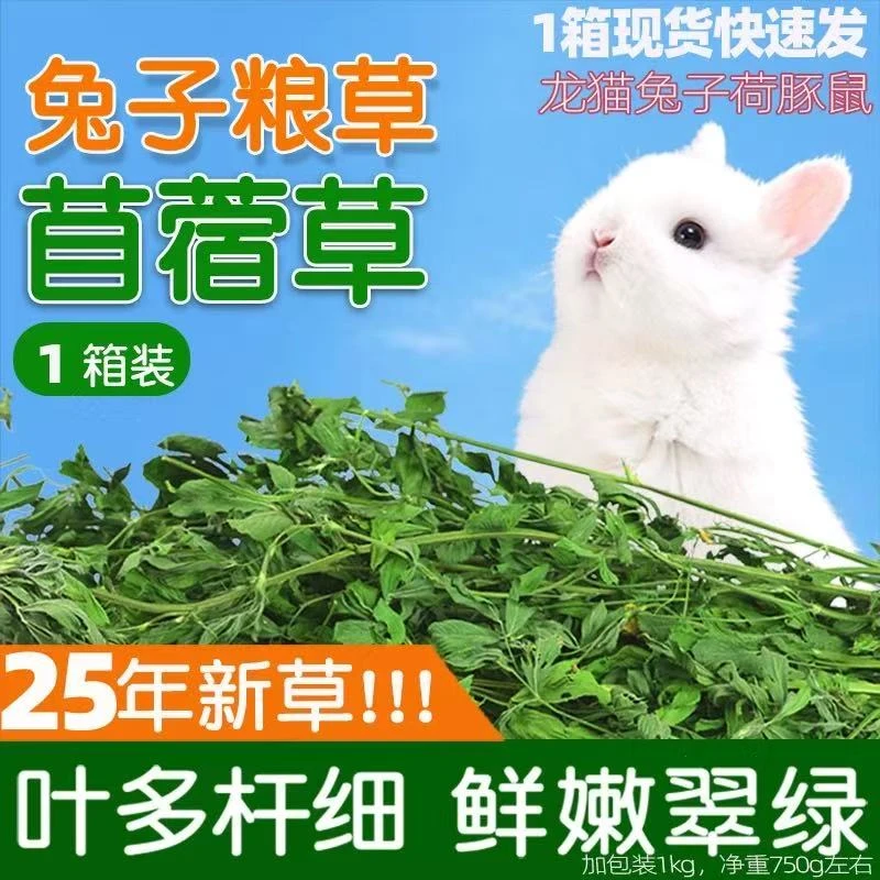 特级烘干苜蓿草兔子粮草紫花干草幼兔食用豚鼠粮食苜宿兔粮饲料