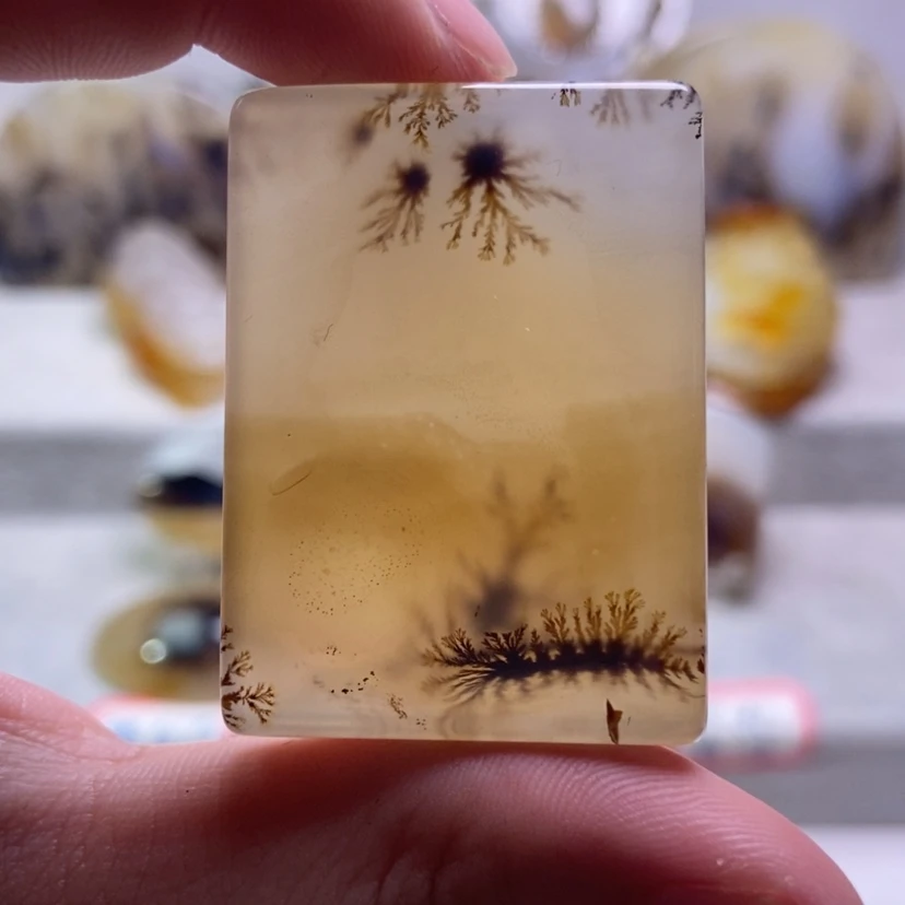 【闪购商品】未镶嵌玛瑙/玉髓珠宝奇石