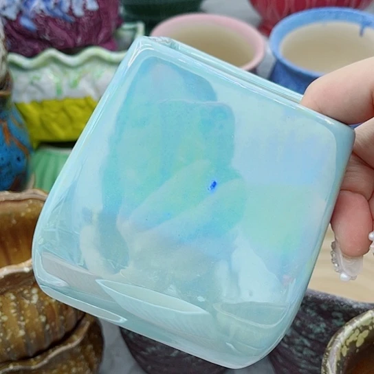 多肉绿植陶瓷花盆9.9包邮，有空