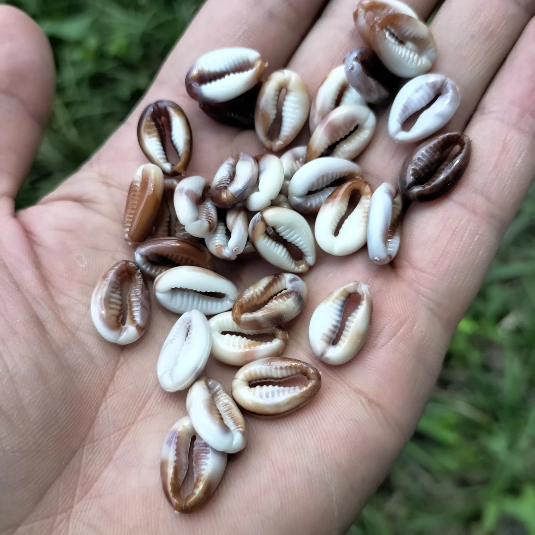 衣服裙子仿真海螺小贝壳流苏DIY饰品配件海洋风衣服扣小吊坠