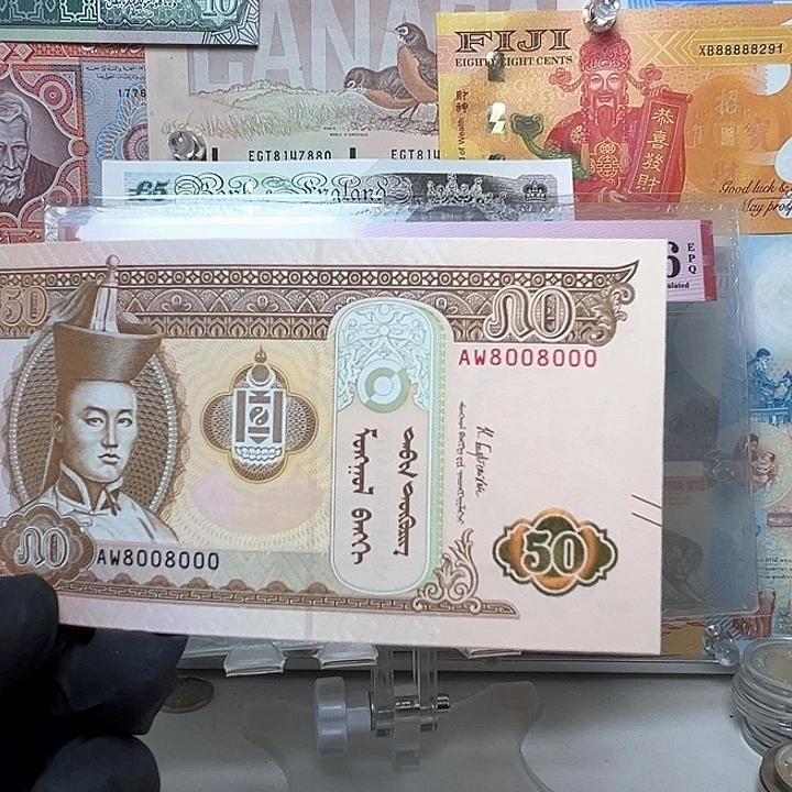 纸币蒙古纸币一张800