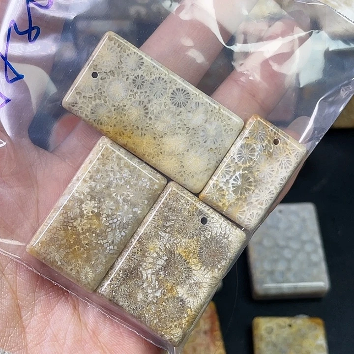 硅化珊瑚（珊瑚玉）珠宝金石合金画*生