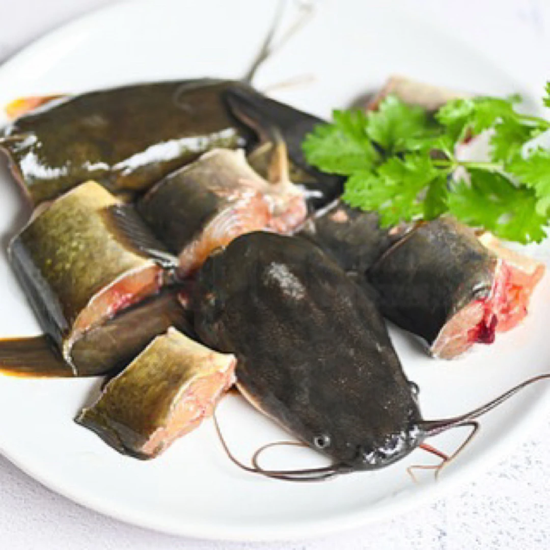 五淮村大河藕塘土鲶鱼