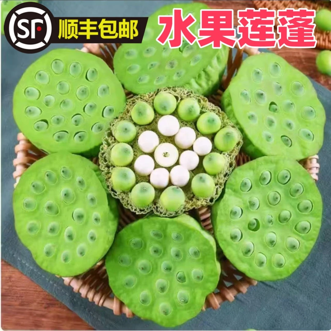 洪湖新鲜水果莲蓬水果莲子米现摘现剥现发生吃清甜爽口顺丰冷链