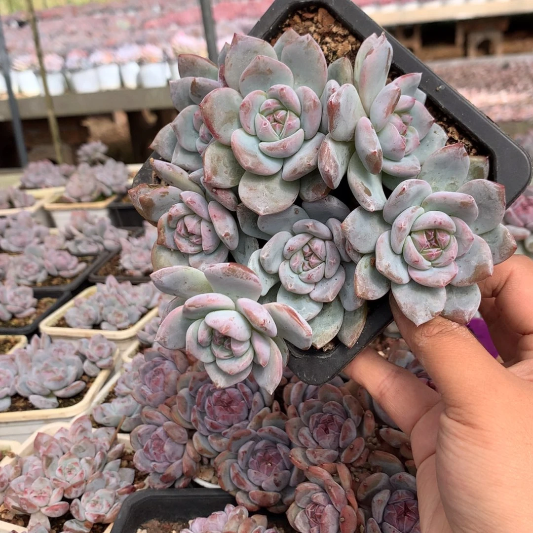 哈哈哈哈哈哈哈哈哈哈哈