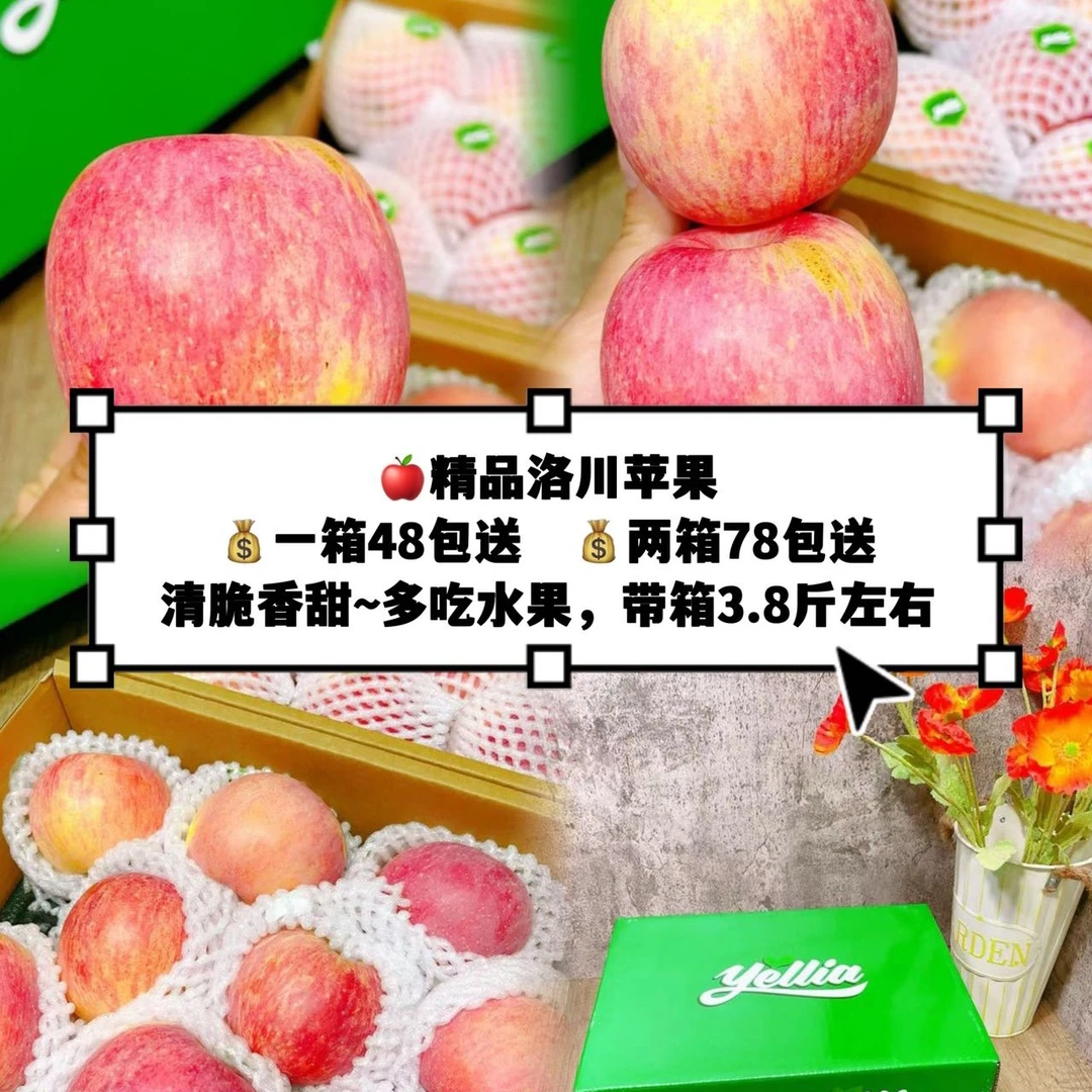【精品洛川苹果】带箱3.8斤左右新鲜苹果