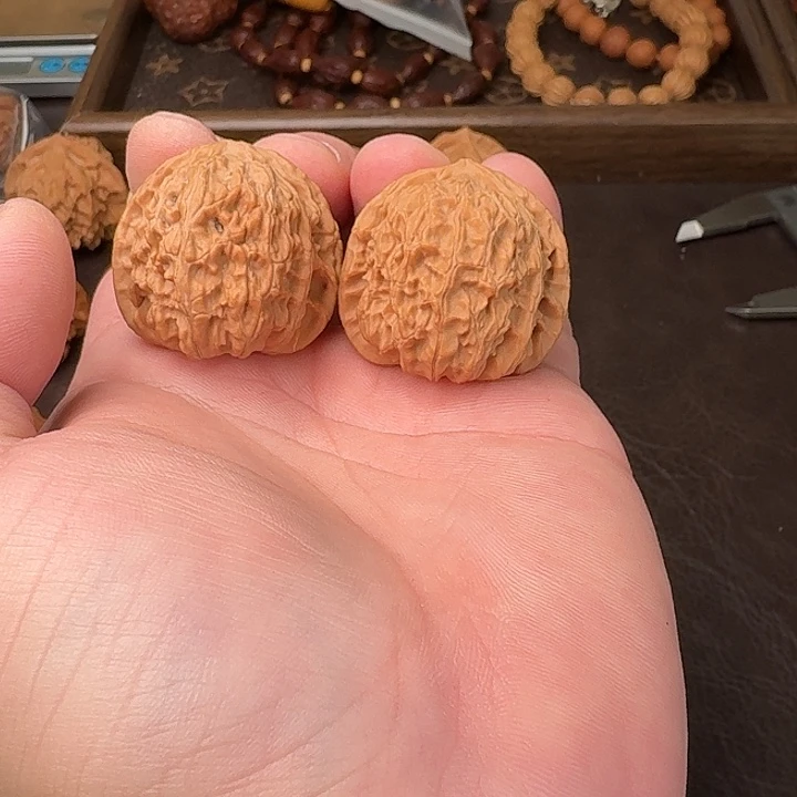 把件文玩核桃五号白狮子