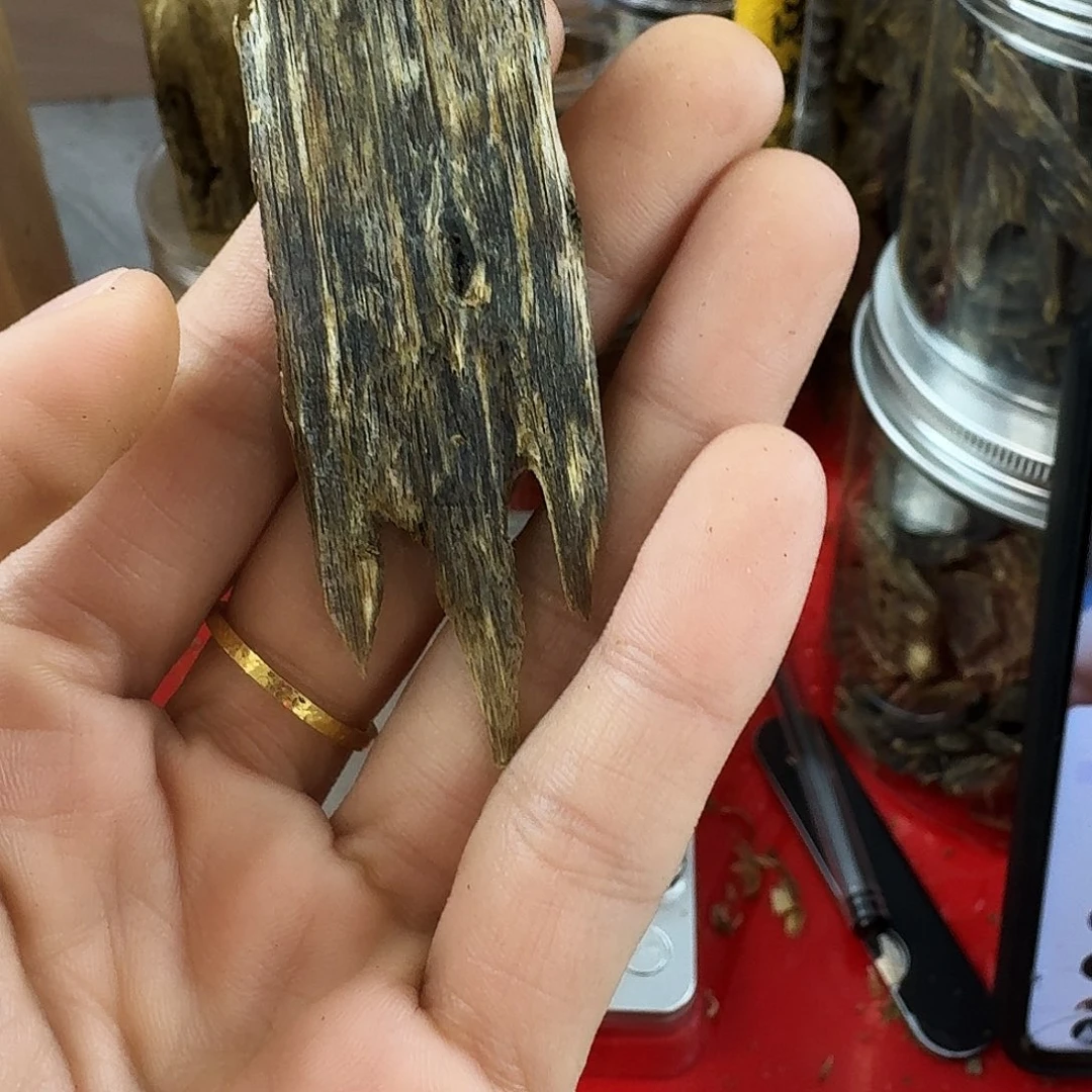 香料绿奇楠白棋块料一个