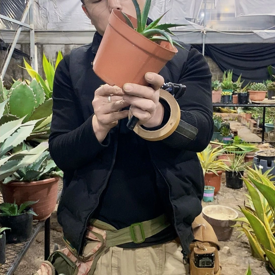 追****唐蒙塔娜一颗9600一颗