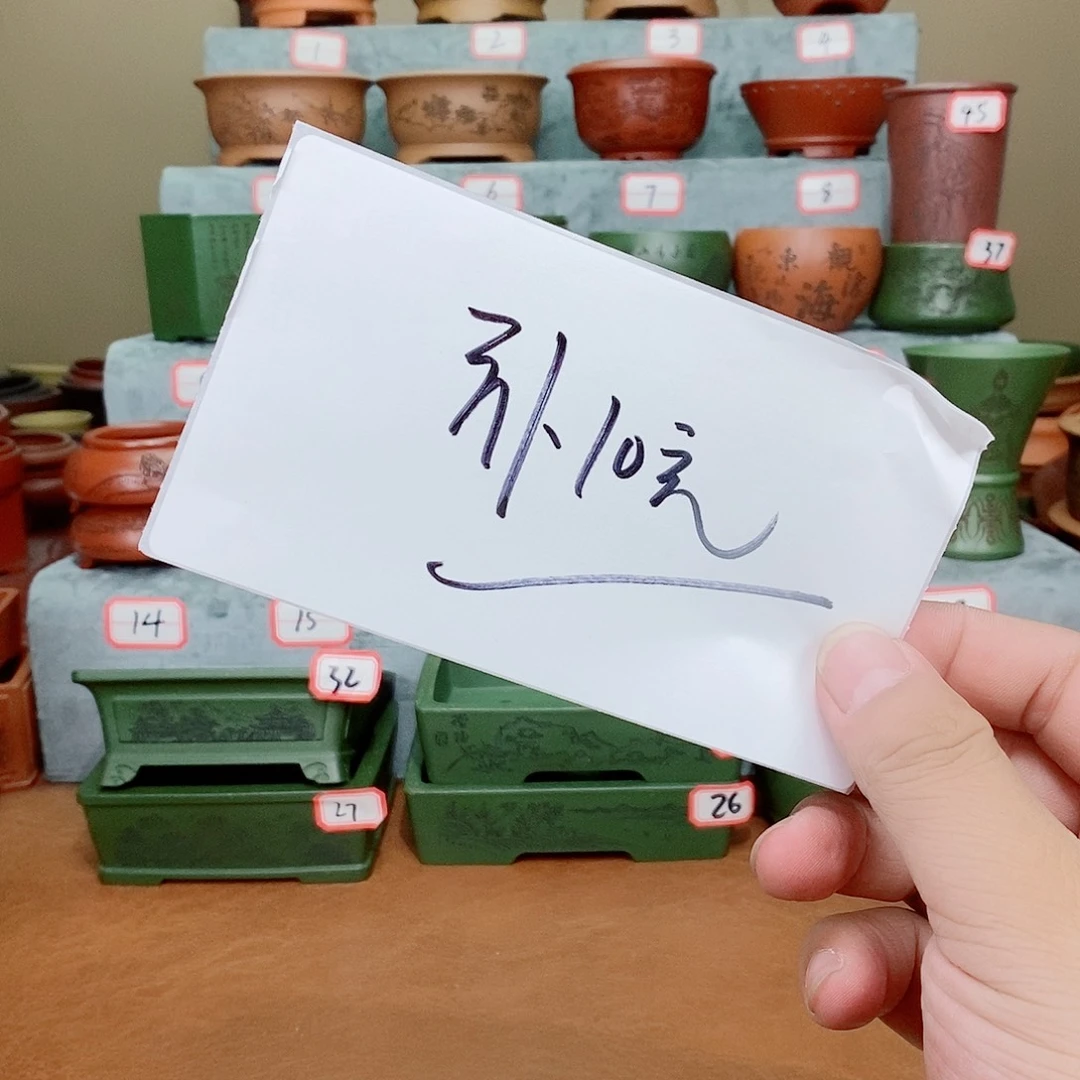 紫砂花盆艾*我在看书