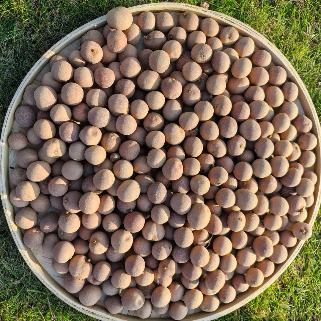 好山  好水  农家  花果干