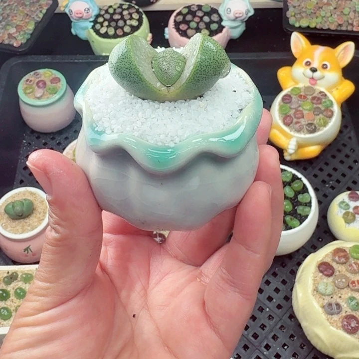829零下地区记得拍保温箱