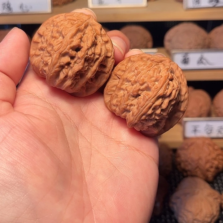 核桃42白狮子。