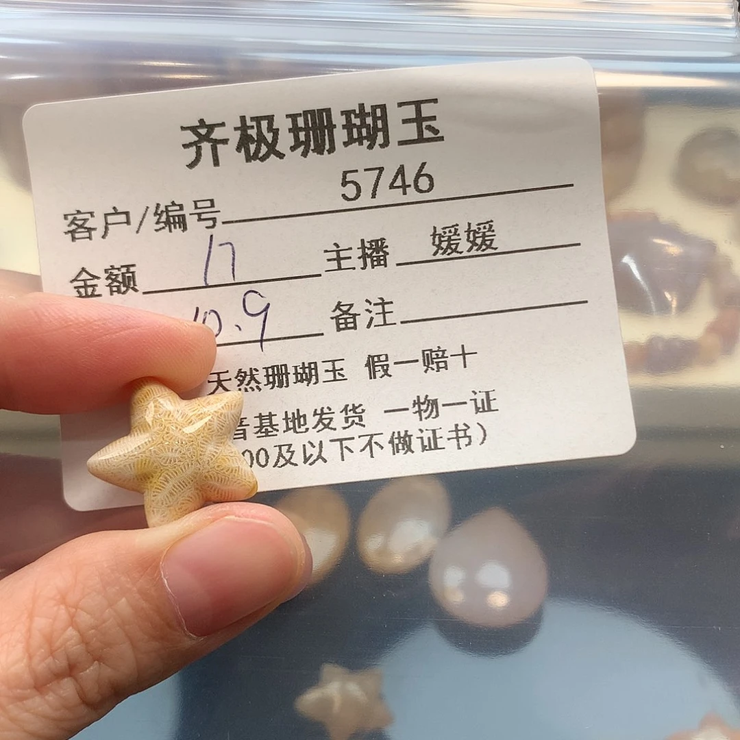 颈饰未镶嵌硅化珊瑚（珊瑚玉）?***?