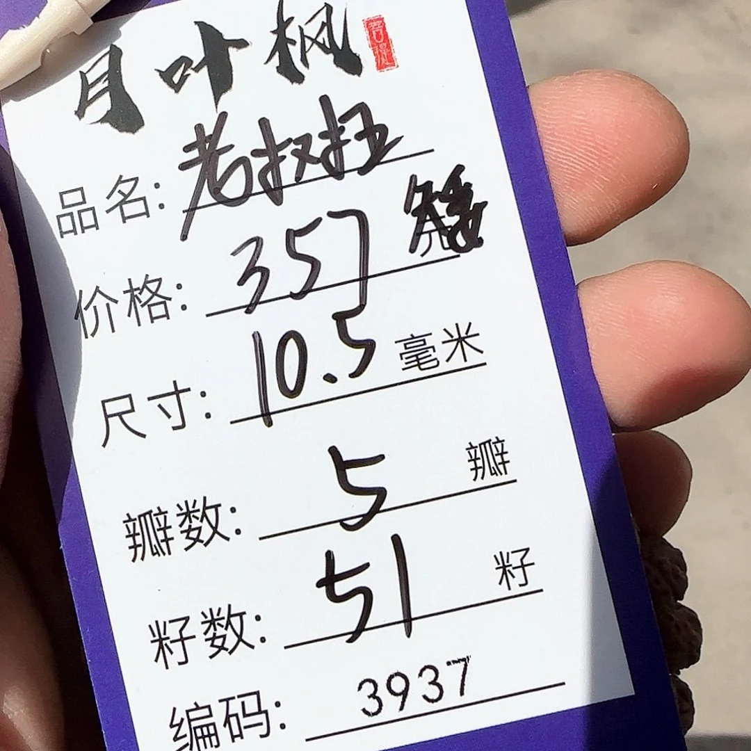 金刚菩提吊坠Aaaaaaaa3937