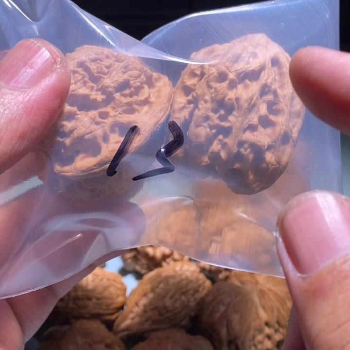文玩核桃把件13的的一