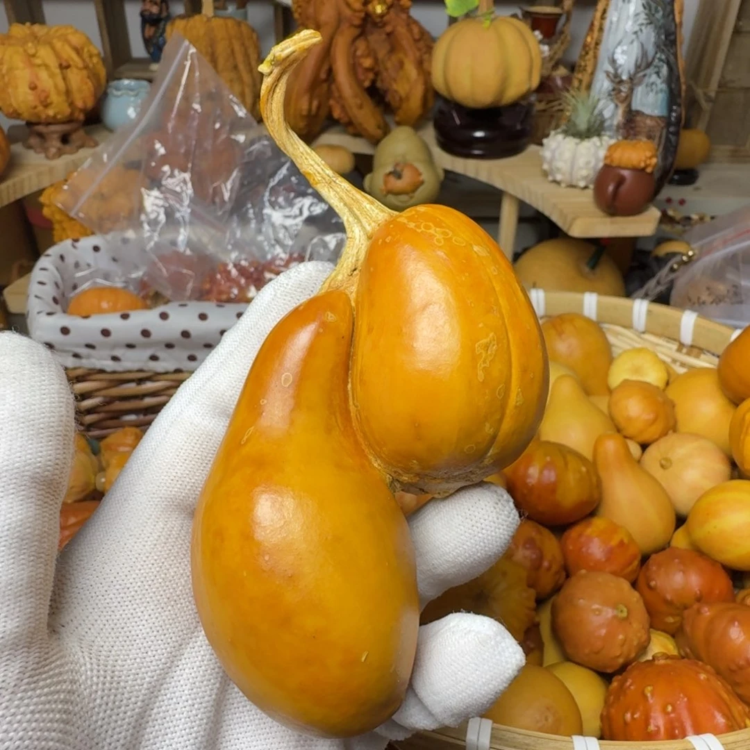 四****t特价葫芦不退不换