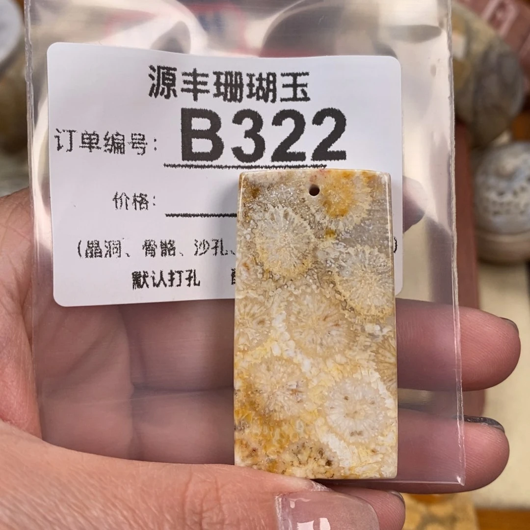 硅化玉颈饰未镶嵌代*飞