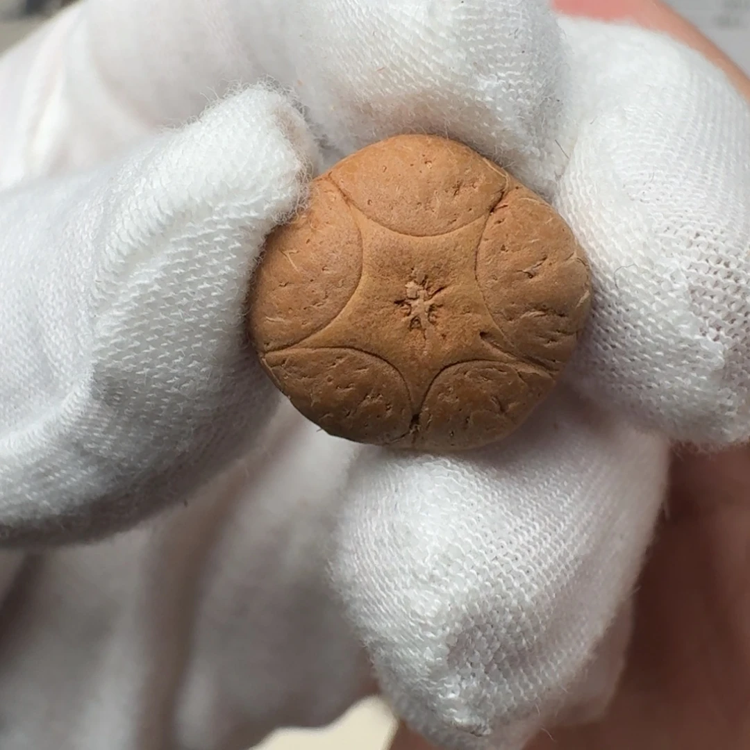 凤眼菩提吊坠16.4/12.1五星福利