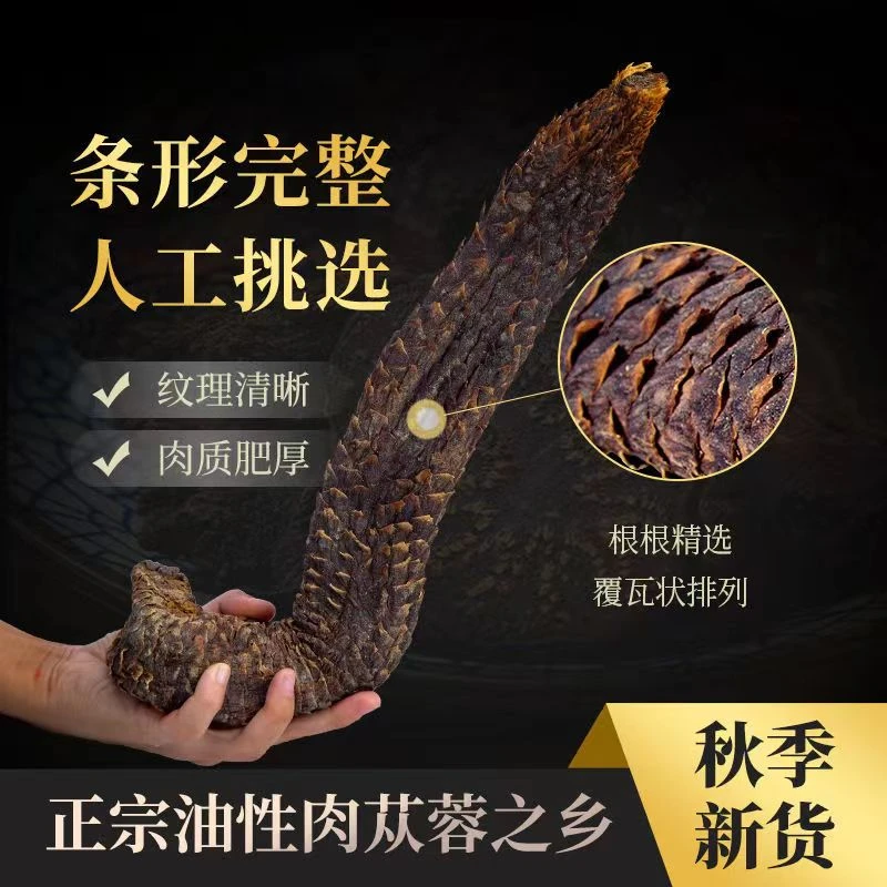 沙漠山药牧区采挖内蒙发货.