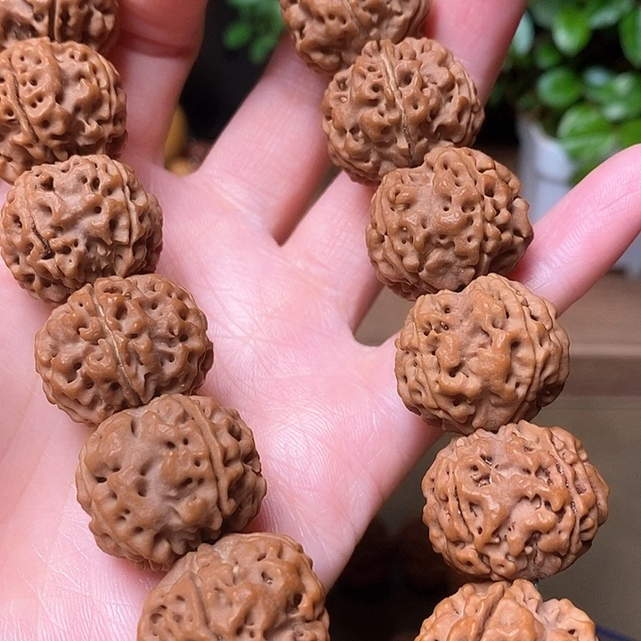 金刚菩提手串古龙大粗筋蜂窝双龙