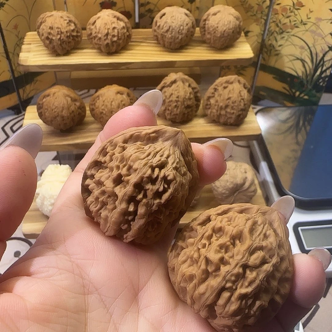 把件文玩核桃蚂蚁王