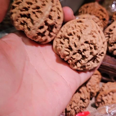 文玩核桃吊坠47粗筋