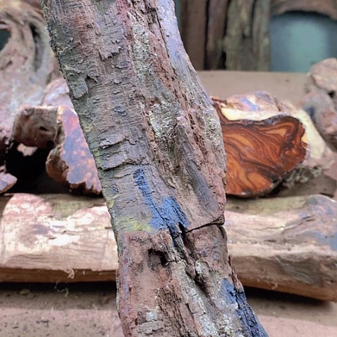 花梨木类“****！1.5圆珠一串