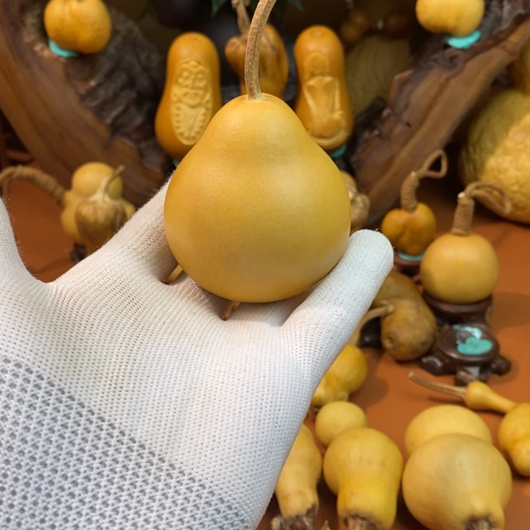 微***菜啦啦教练咯教练咯教练