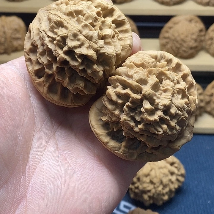 核桃54全品龙鼎福利核桃