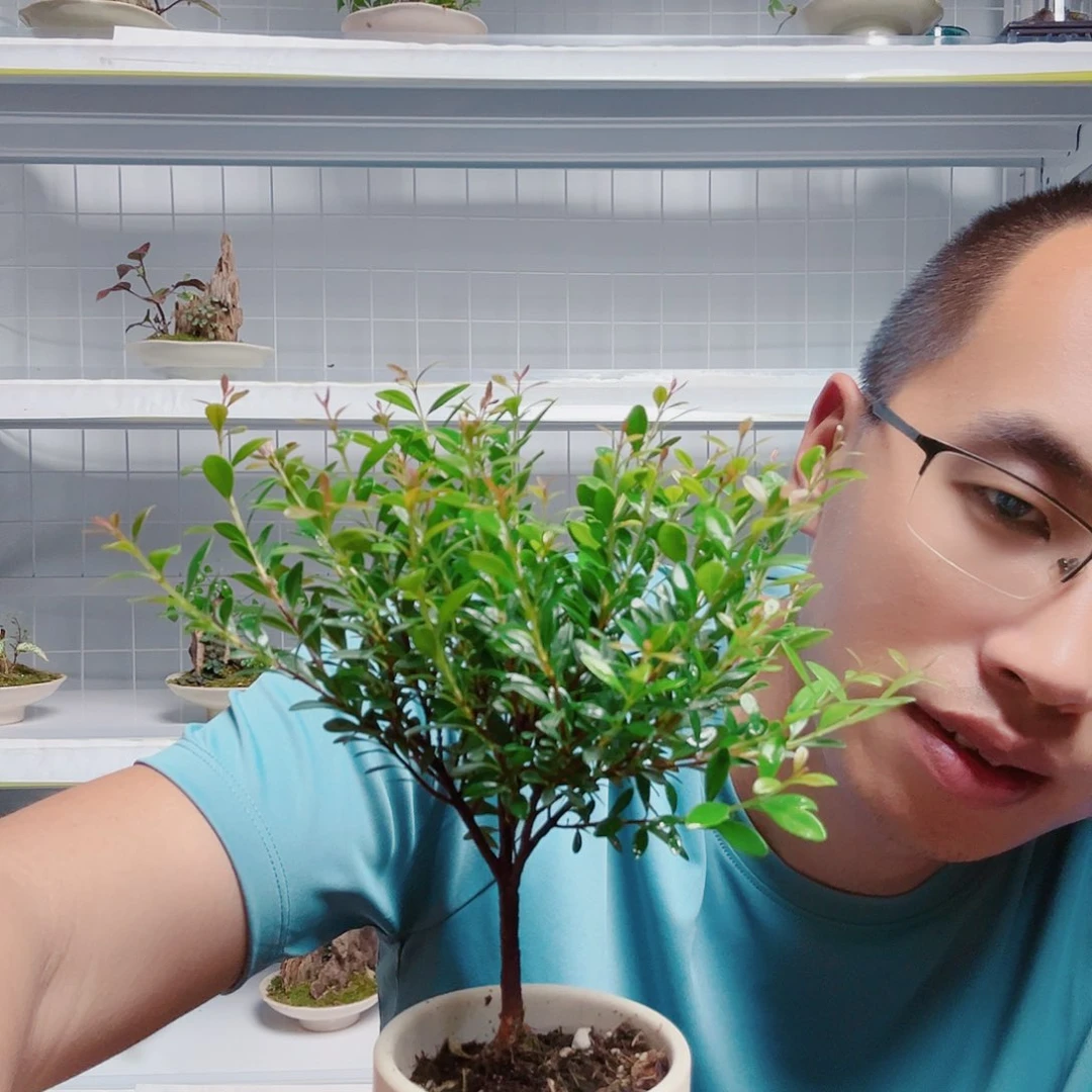 无花朵叫***姐22