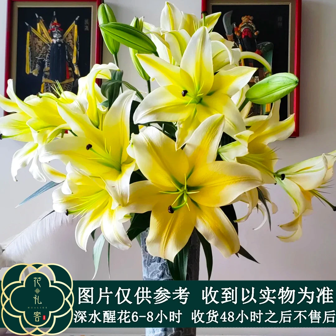 #香水百合 【黄天霸多头】鲜花优选 顺丰直发