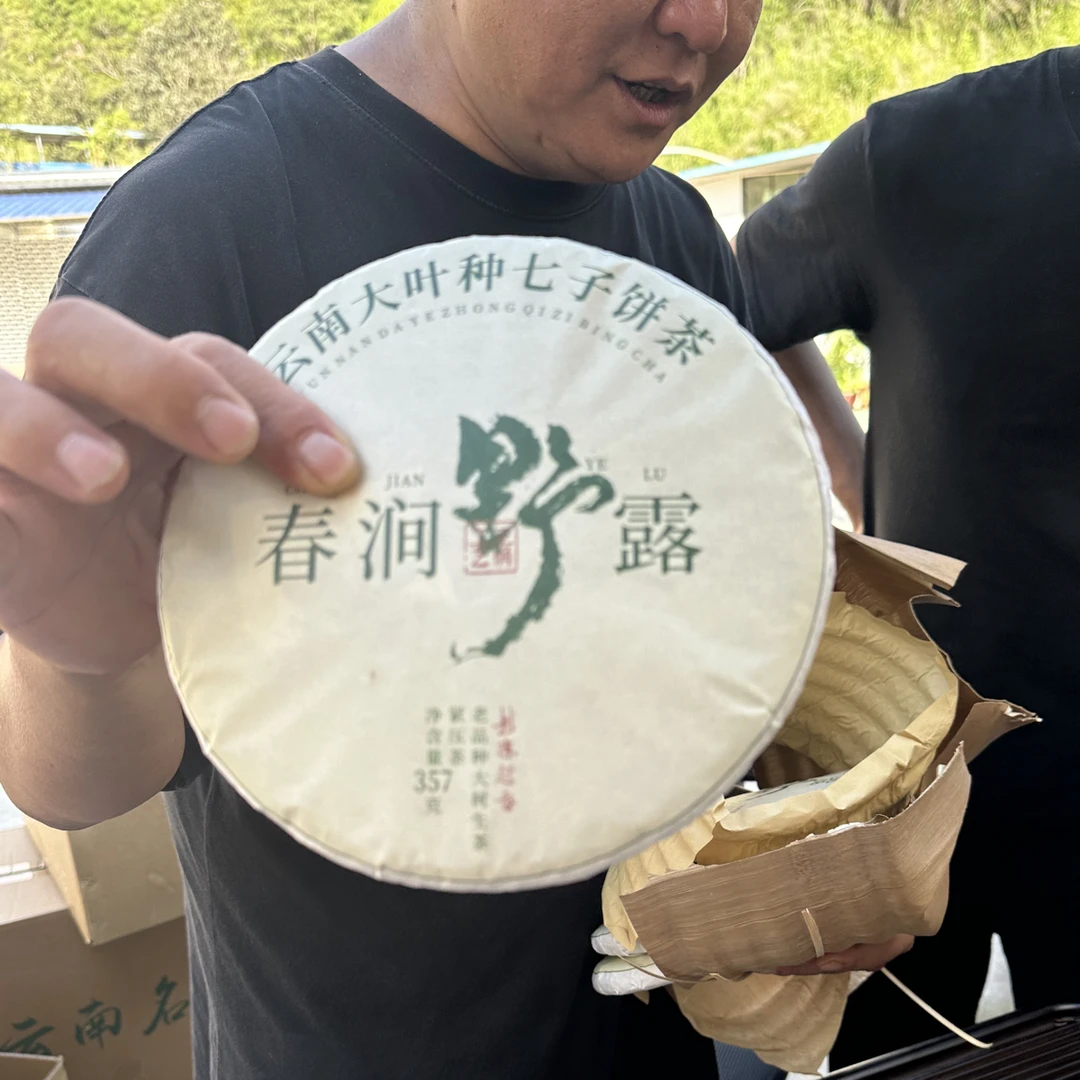 2025年春涧野露普洱茶生茶饼357g
